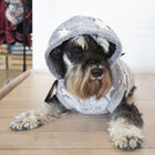 Outech Fleece Sudadera Gris con Estampado de Estrellas para perros, , large image number null